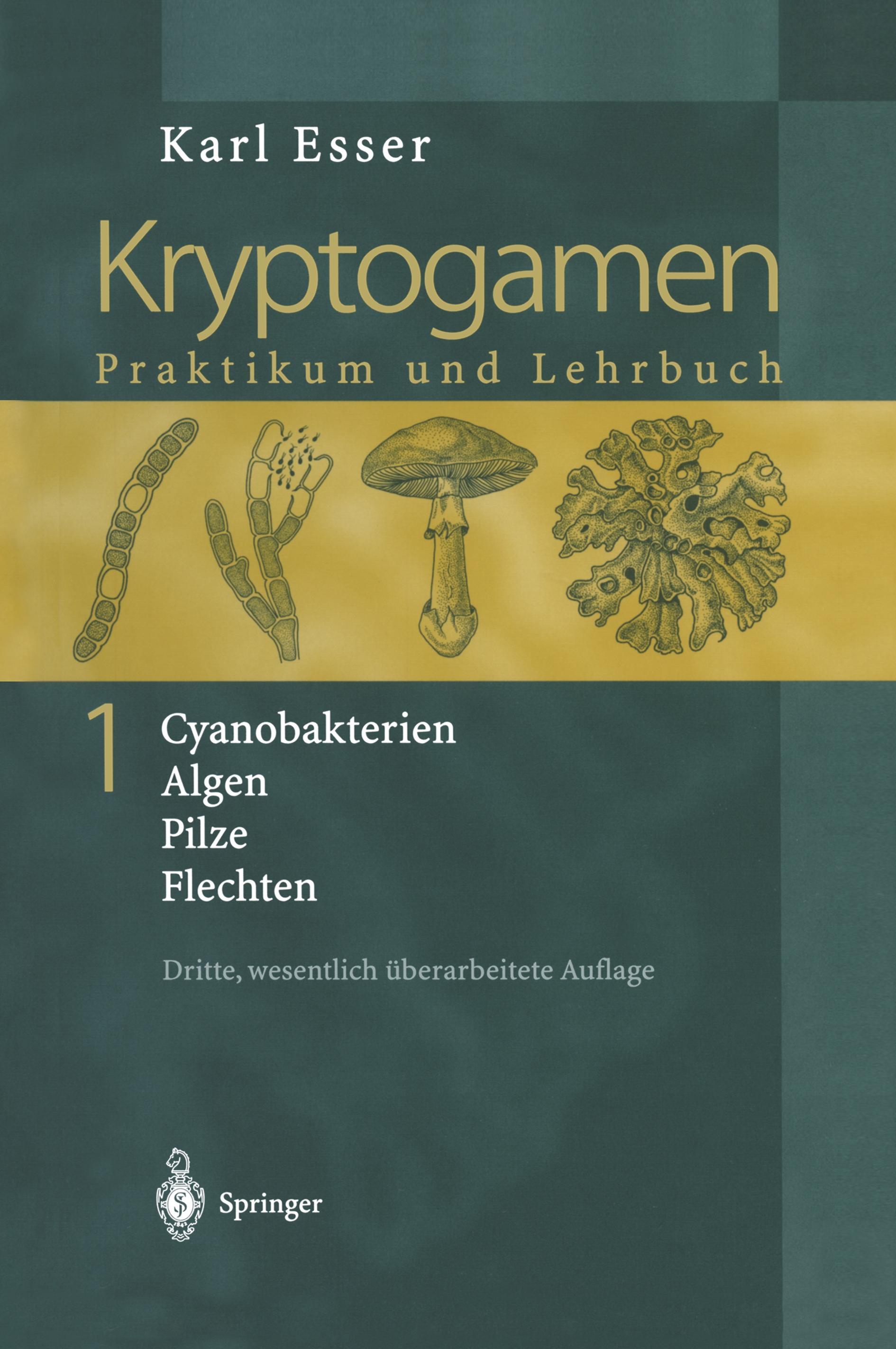 Kryptogamen 1