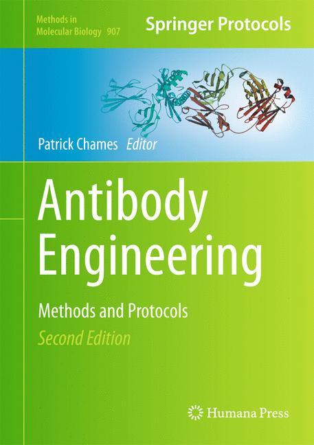 Antibody Engineering