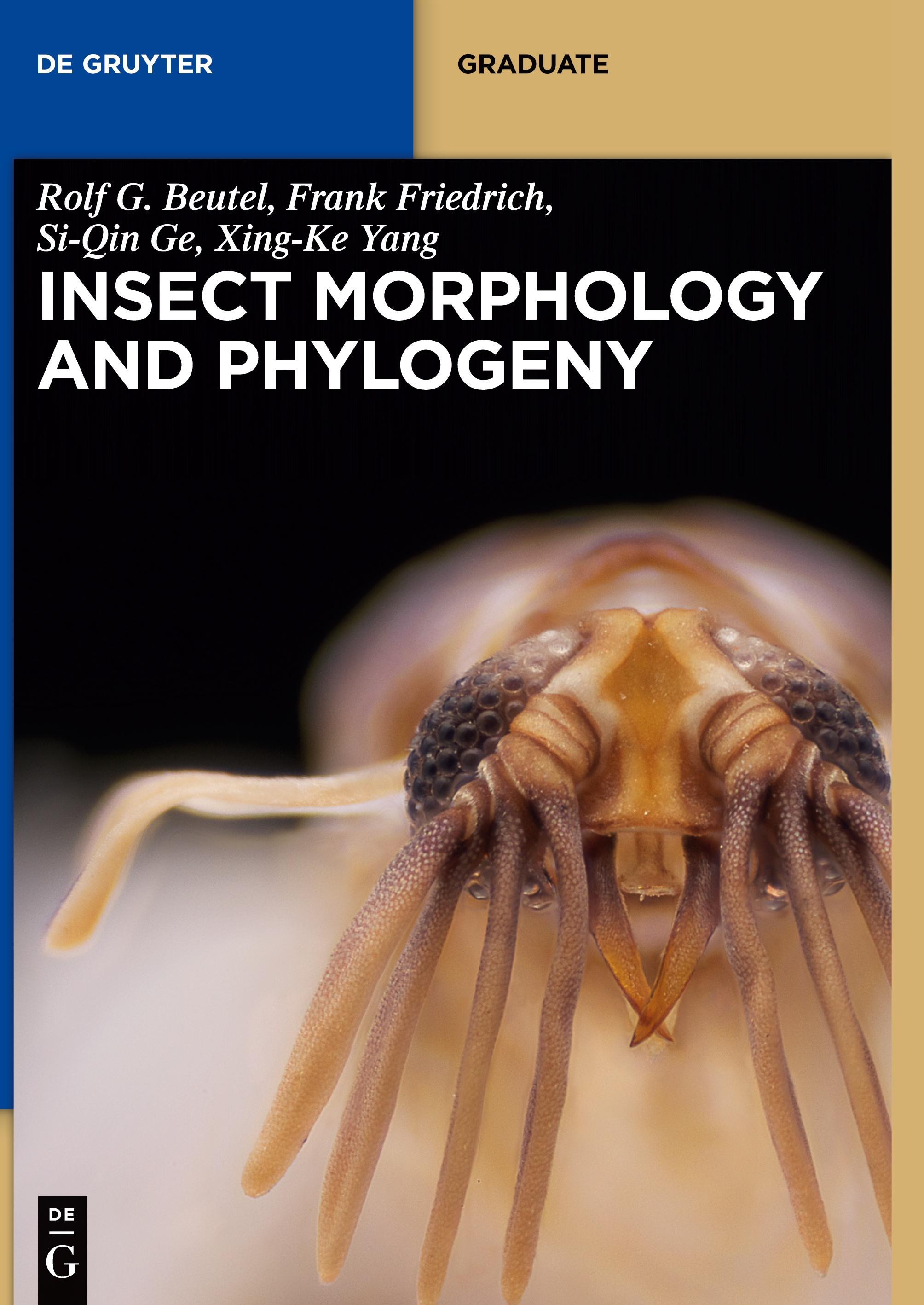 Insect Morphology and Phylogeny