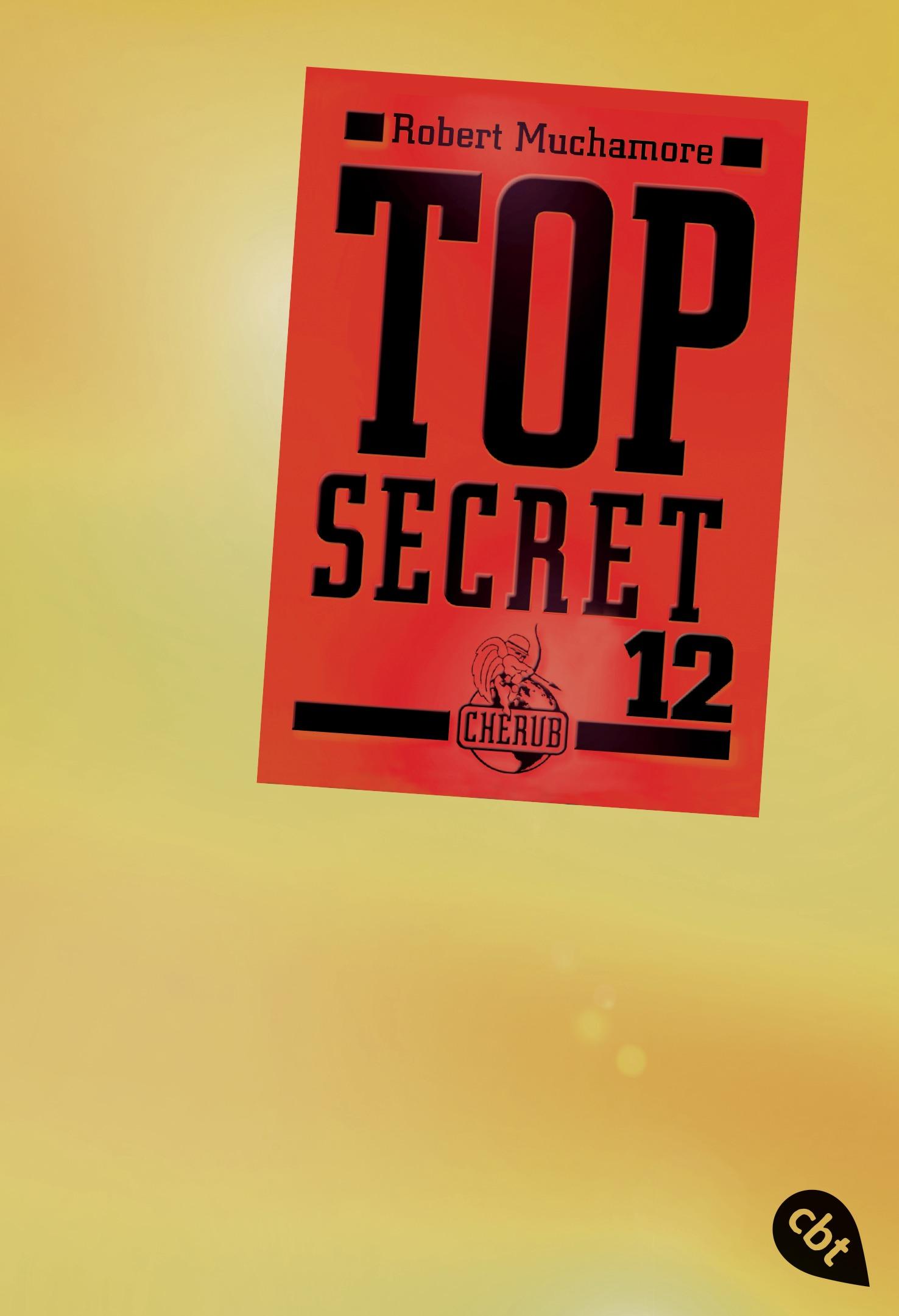 Top Secret 12 - Die Entscheidung