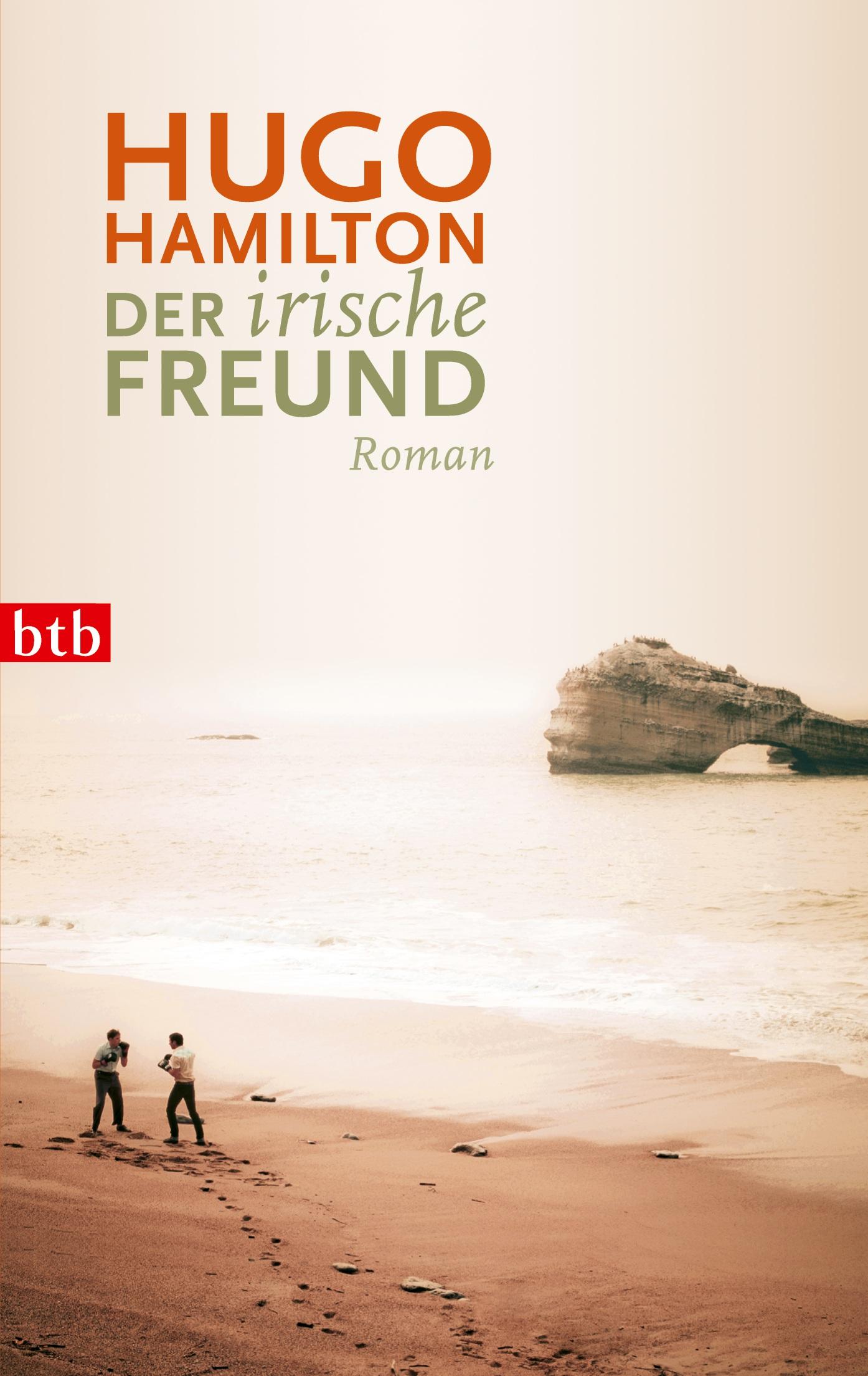 Der irische Freund