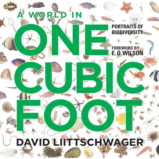 A World in One Cubic Foot