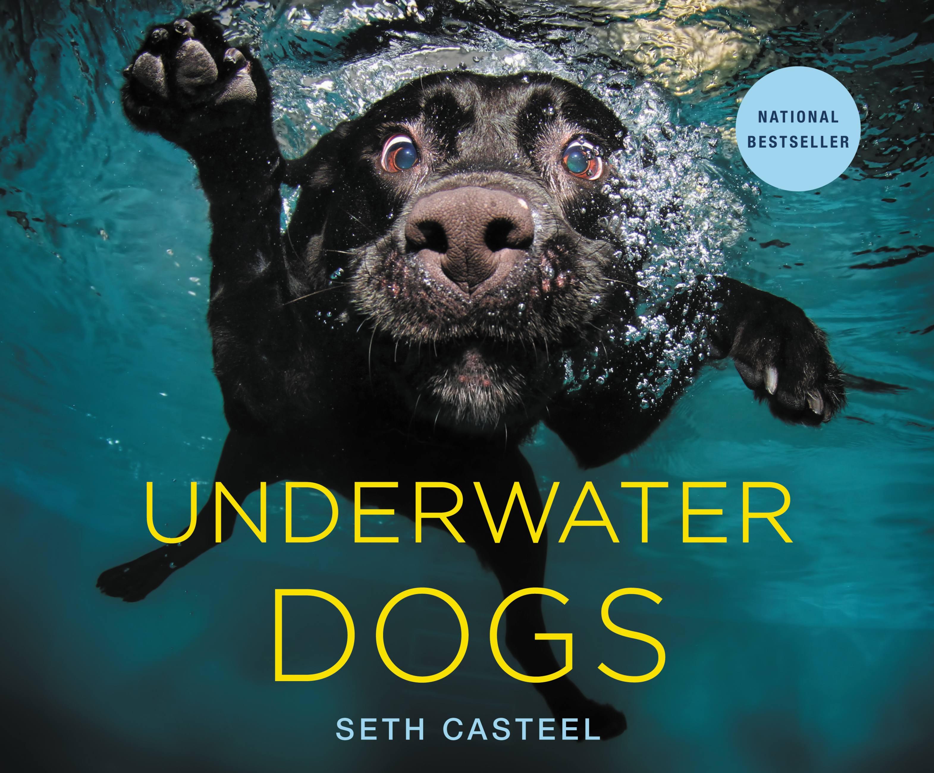 Underwater Dogs