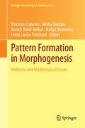 Pattern Formation in Morphogenesis