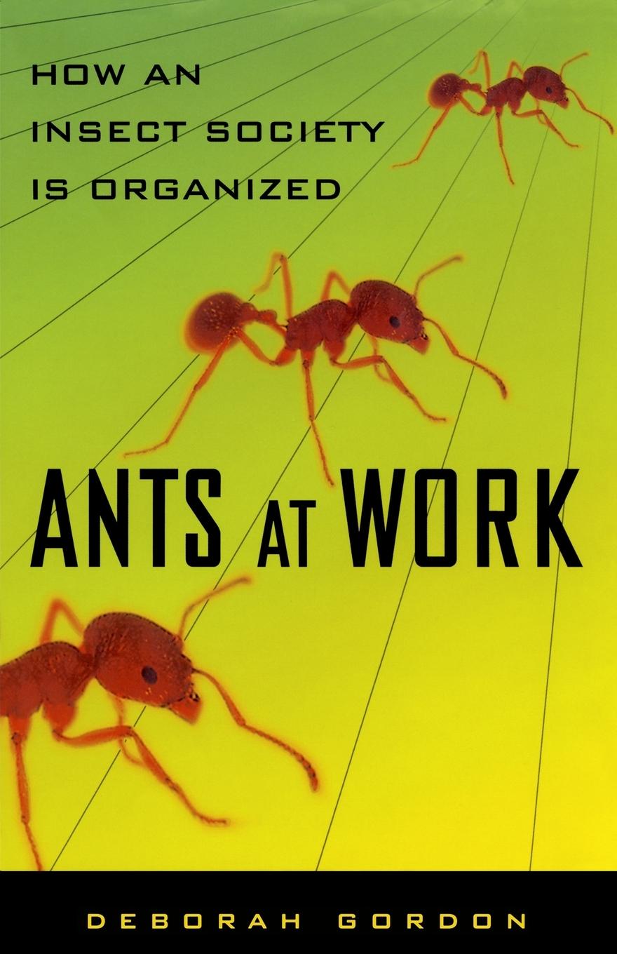 Ants at Work