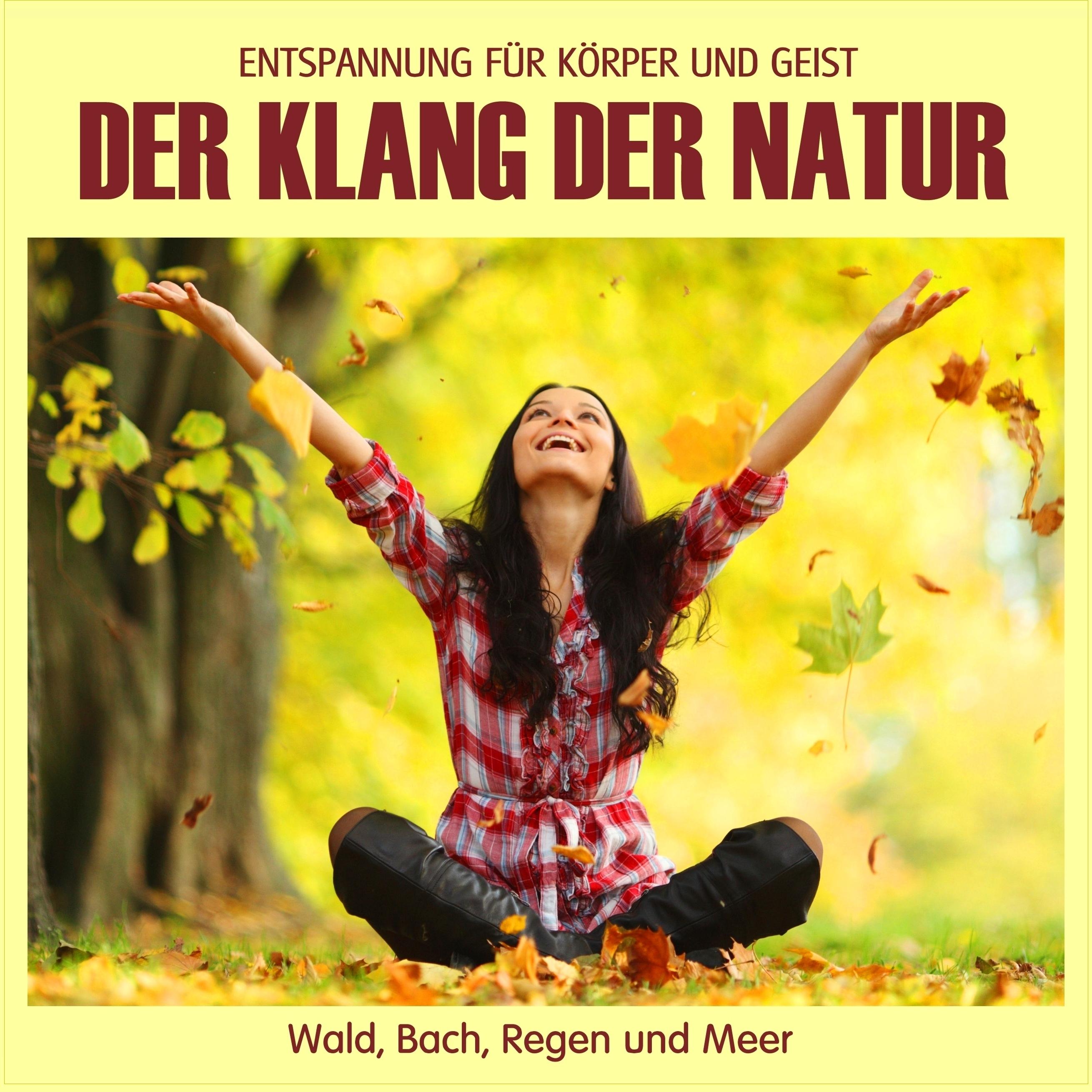 Der Klang der Natur - Wald, Bach, Regen und Meer (ohne Musik)