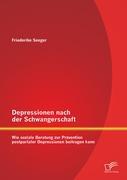 Depressionen nach der Schwangerschaft: Wie soziale Beratung zur Prävention postpartaler Depressionen beitragen kann