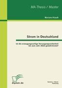 Strom in Deutschland - Ist die erzeugungsseitige Versorgungssicherheit bis zum Jahr 2022 gewährleistet?