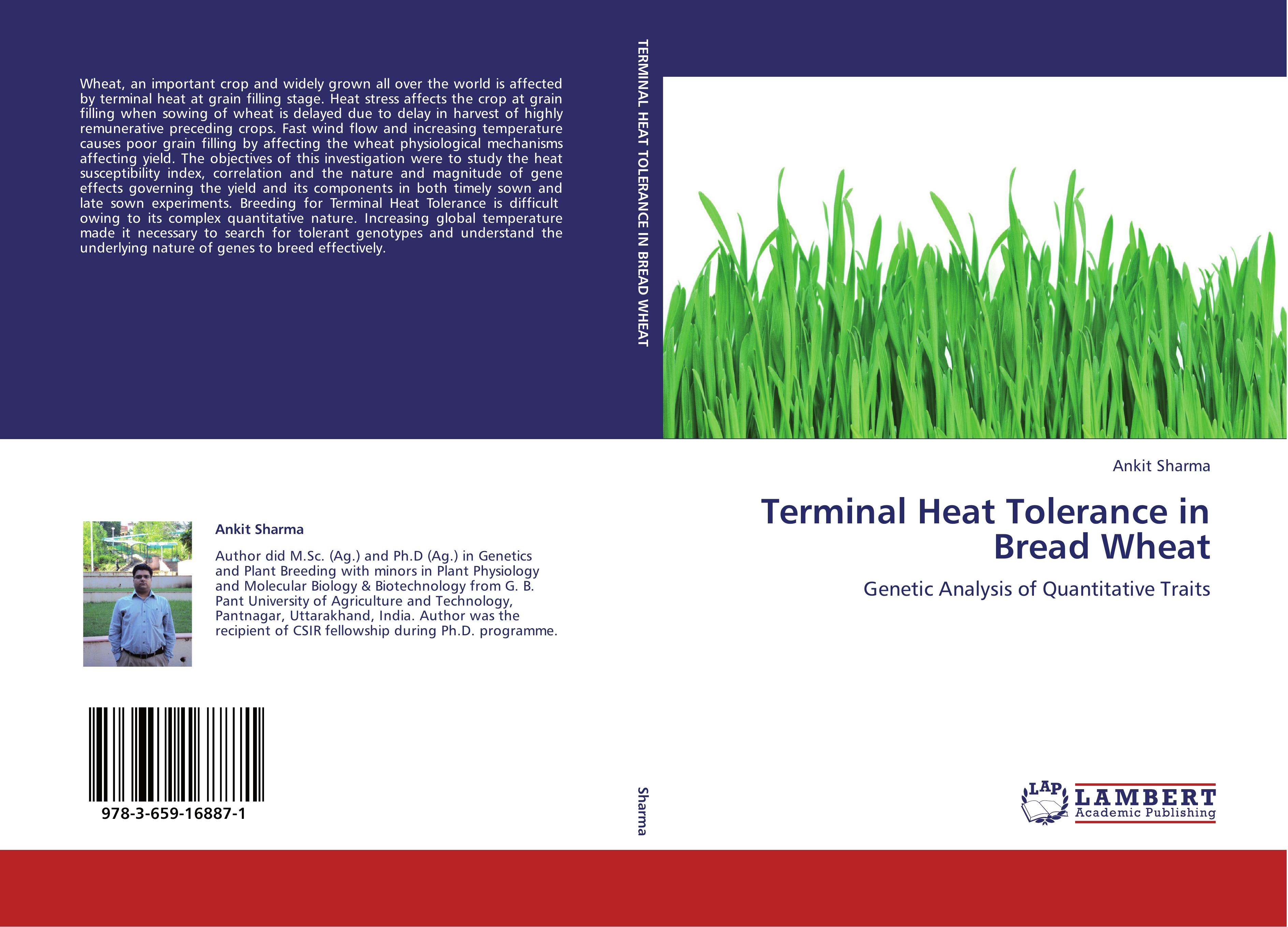 Terminal Heat Tolerance in Bread Wheat