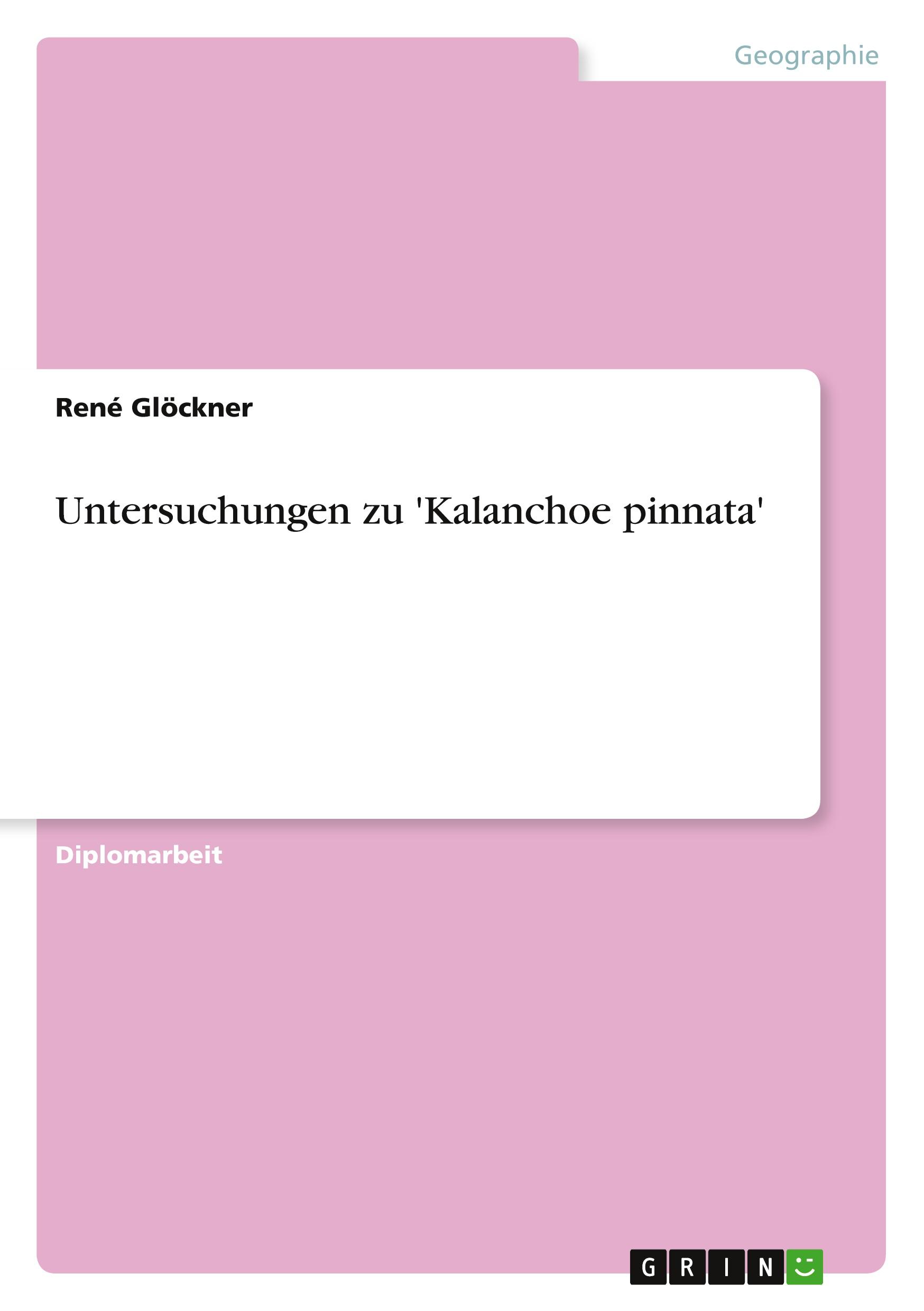 Untersuchungen zu 'Kalanchoe pinnata'