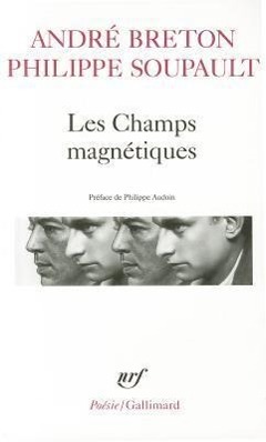 Champs Magnetiques