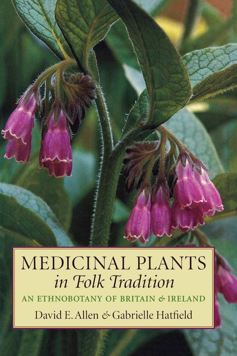 Medicinal Plants in Folk Tradition