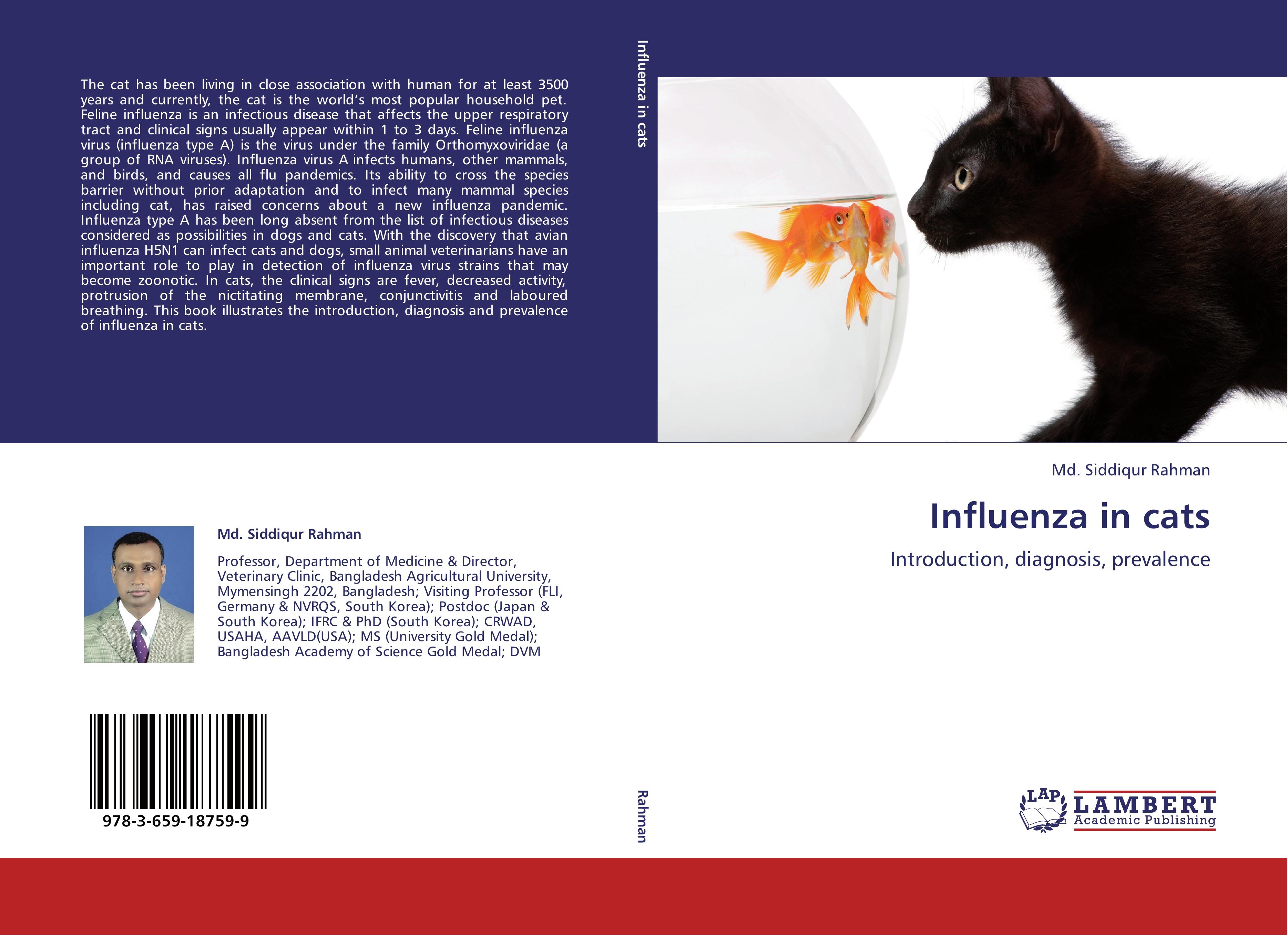 Influenza in cats