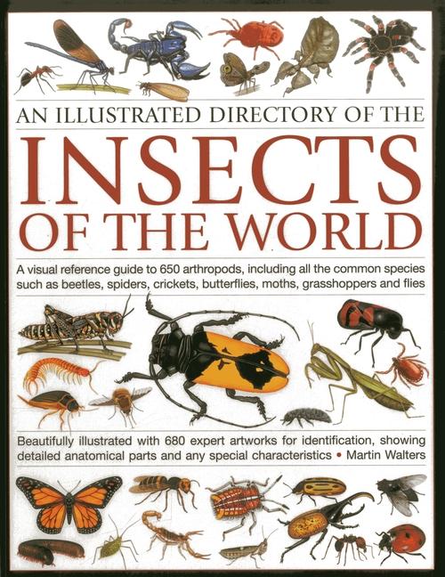 An Illustrated Directory of the Insects of the World