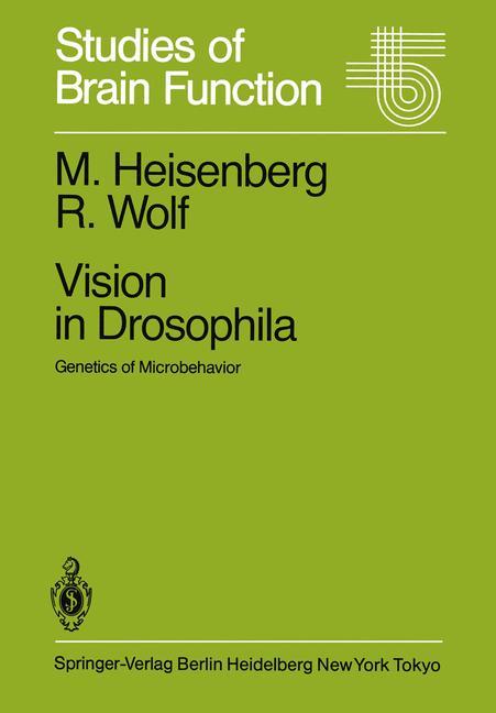 Vision in Drosophila