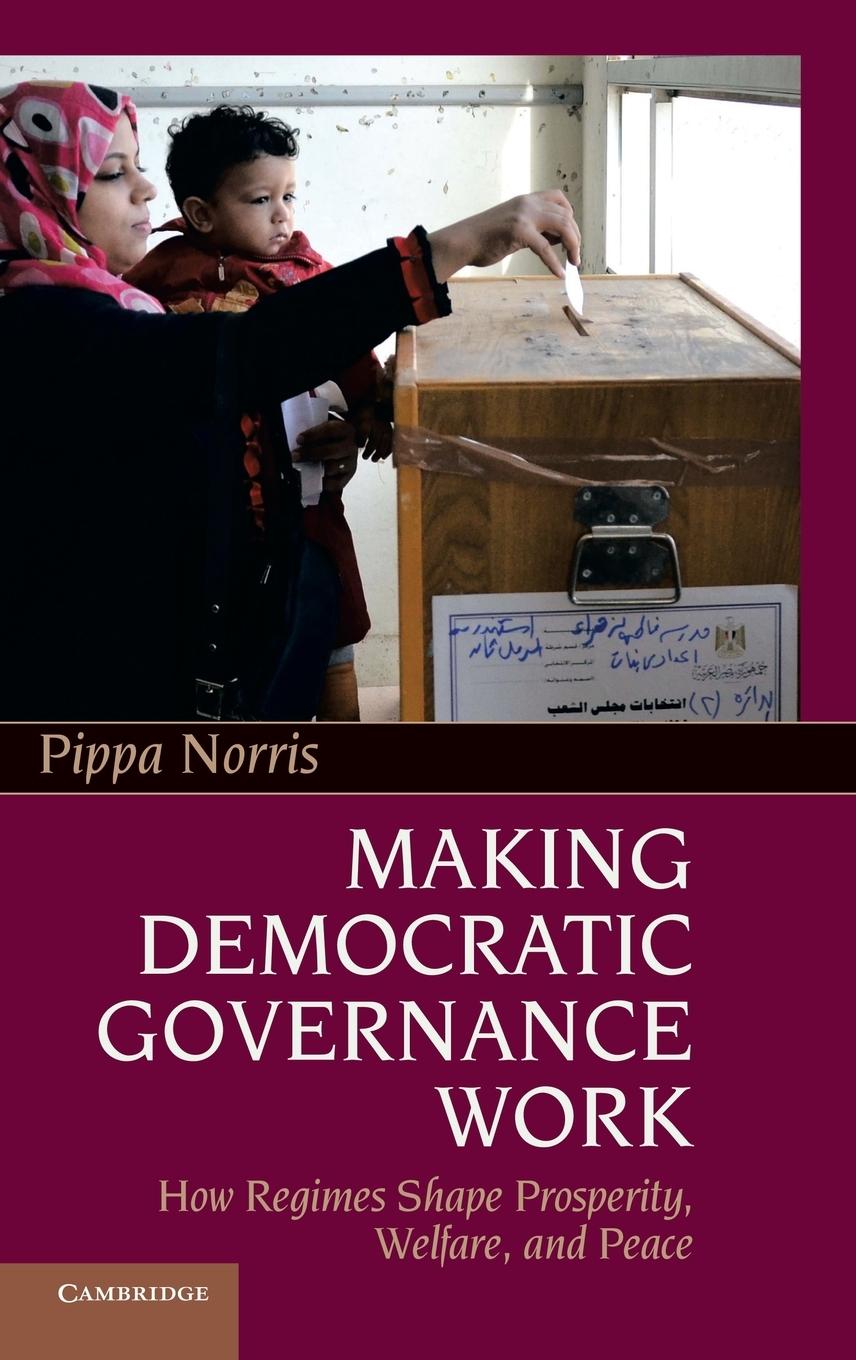 Making Democratic Governance Work