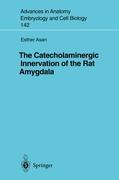 The Catecholaminergic Innervation of the Rat Amygdala