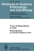 Morphogenesis of Thyroid Follicles in Vitro