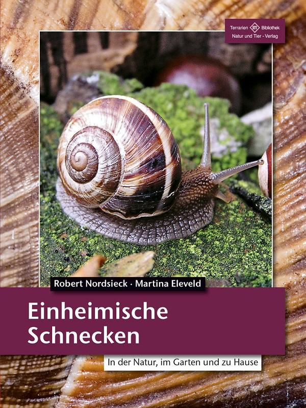 Einheimische Schnecken