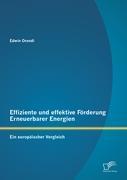 Effiziente und effektive Förderung Erneuerbarer Energien: Ein europäischer Vergleich