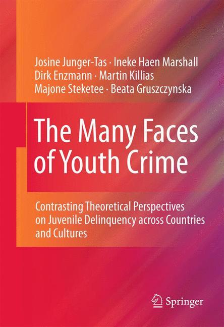 The Many Faces of Youth Crime