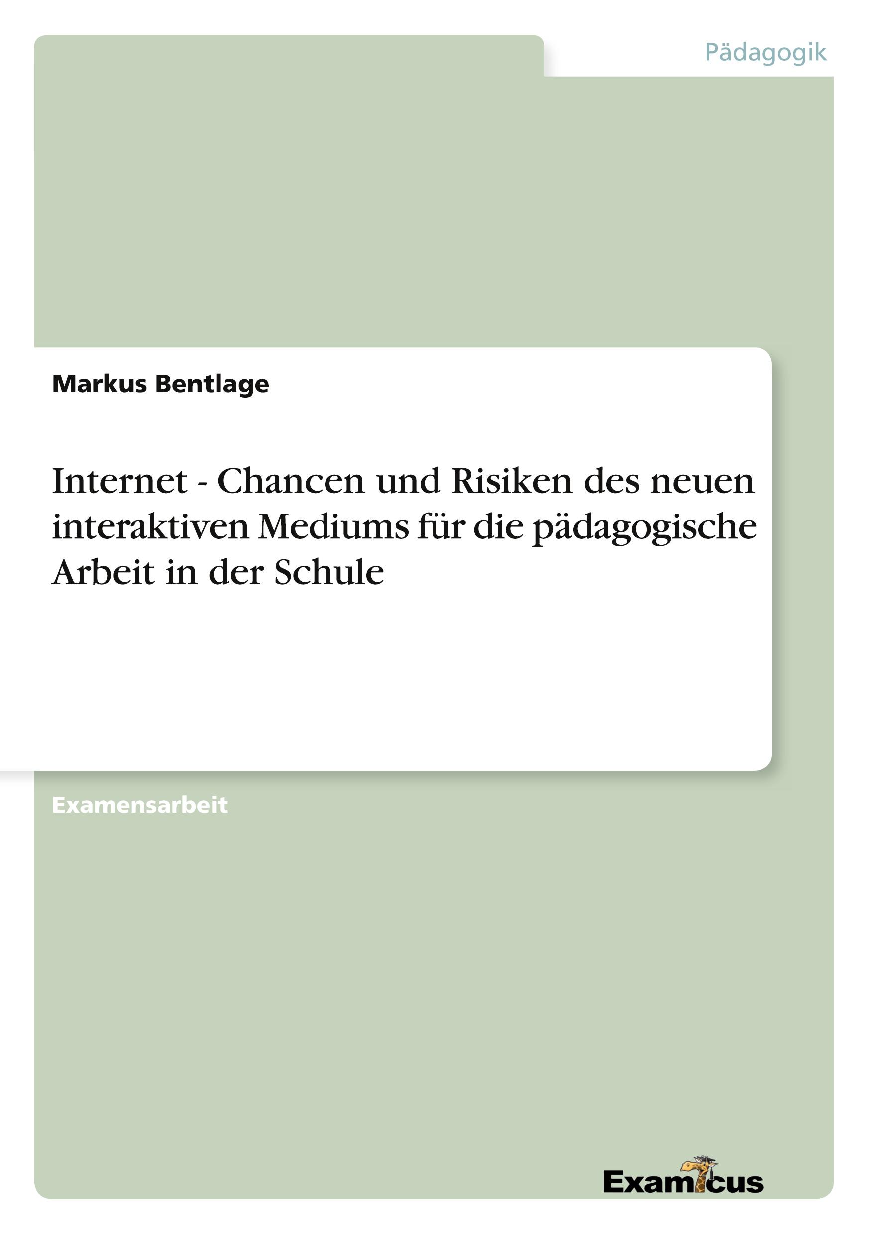 Internet - Chancen und Risiken des neuen interaktiven Mediums für die pädagogische Arbeit in der Schule