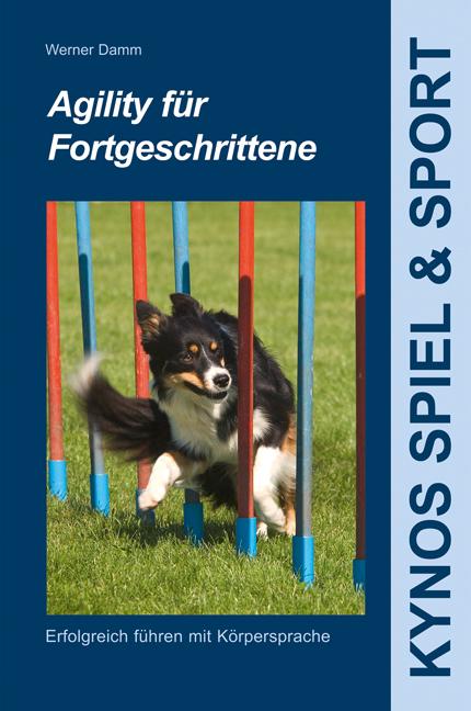 Agility für Fortgeschrittene