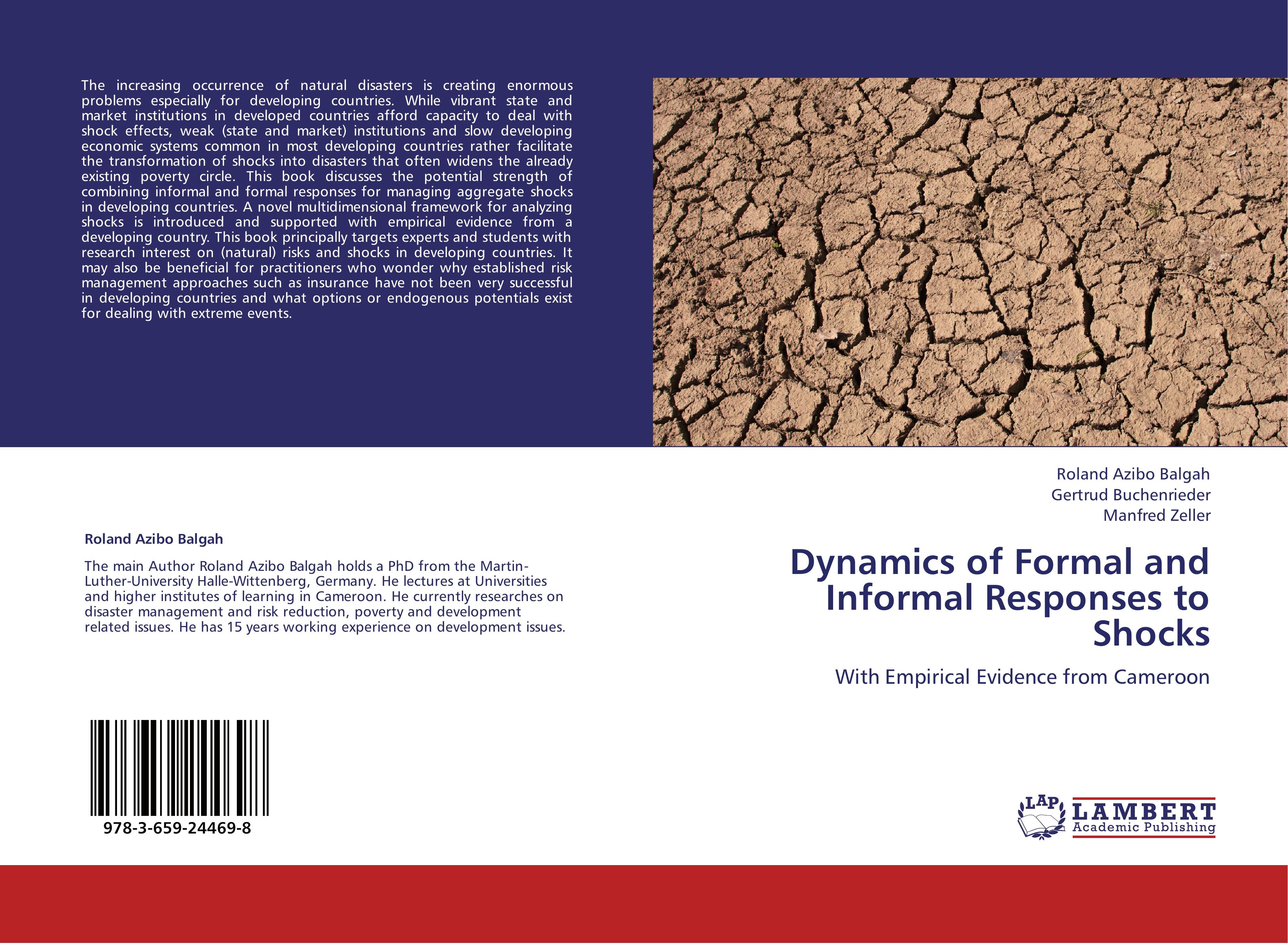 Dynamics of Formal and Informal Responses to Shocks