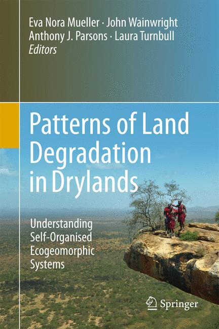 Patterns of Land Degradation in Drylands