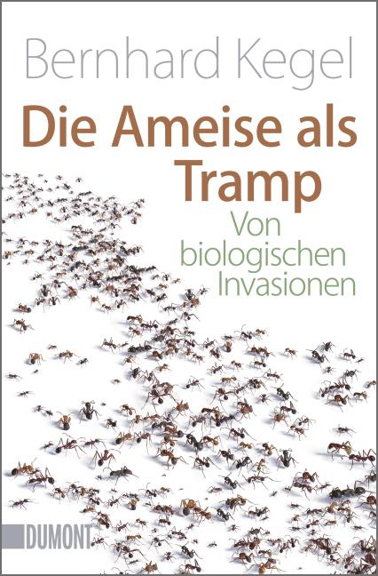 Die Ameise als Tramp