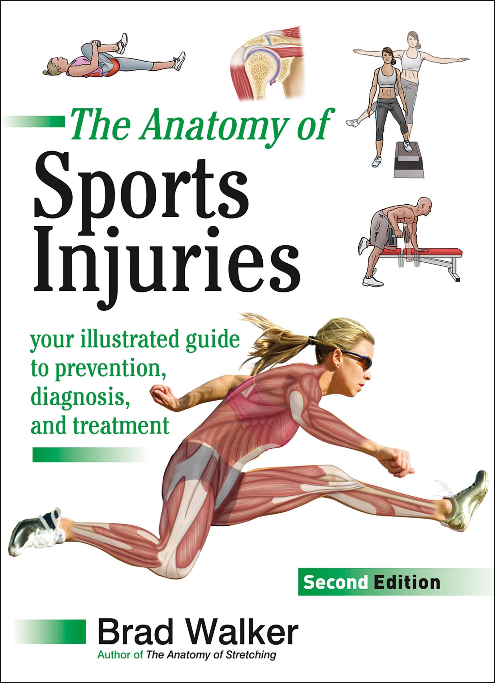 The Anatomy of Sports Injuries