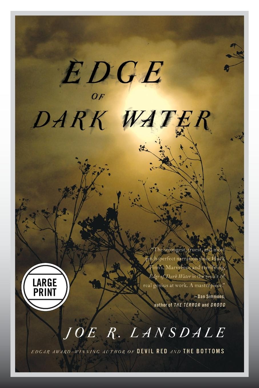 Edge of Dark Water