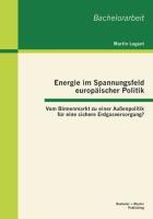 Energie im Spannungsfeld europäischer Politik: Vom Binnenmarkt zu einer Außenpolitik für eine sichere Erdgasversorgung?