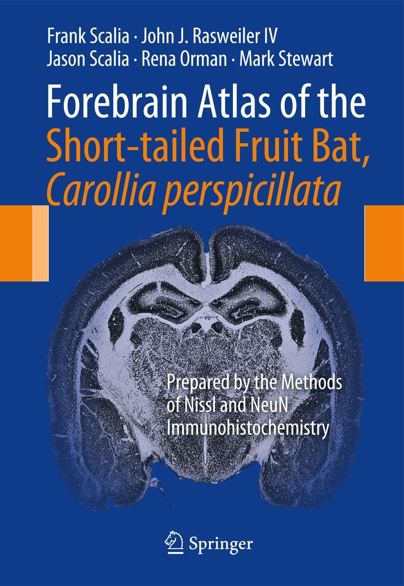 Forebrain Atlas of the Short-Tailed Fruit Bat, Carollia Perspicillata