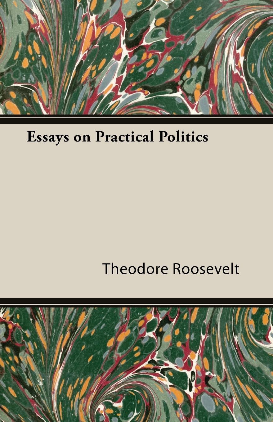 Essays on Practical Politics