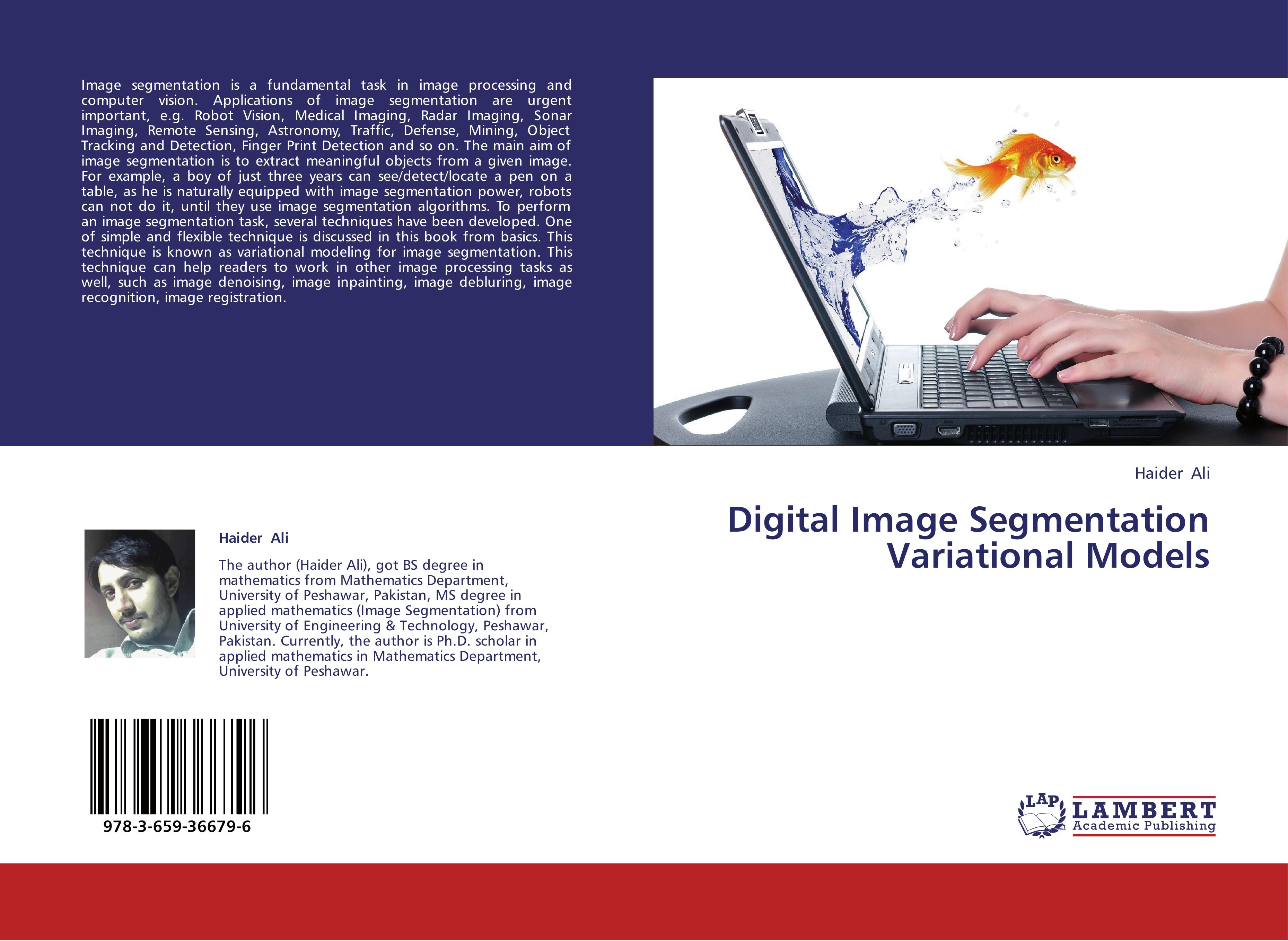 Digital Image Segmentation Variational Models