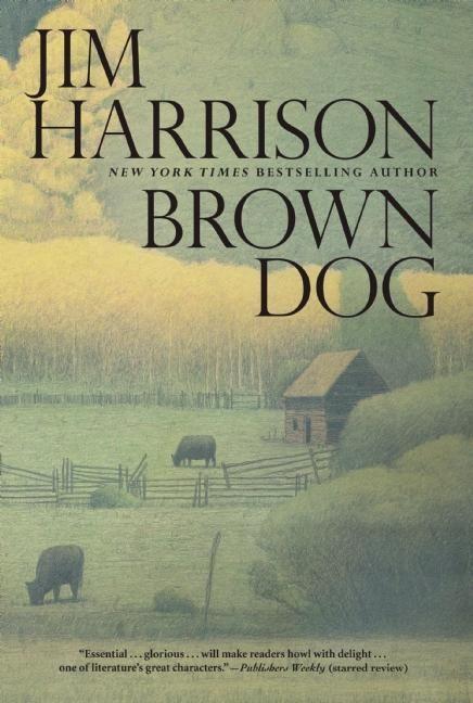 Brown Dog