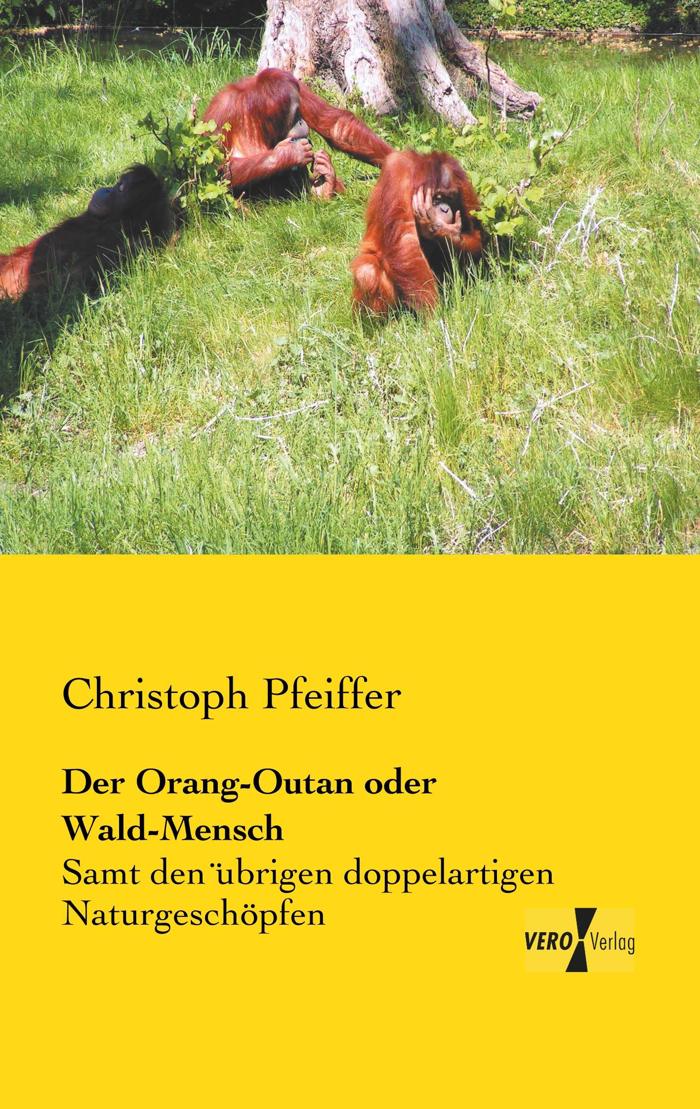 Der Orang-Outan oder Wald-Mensch