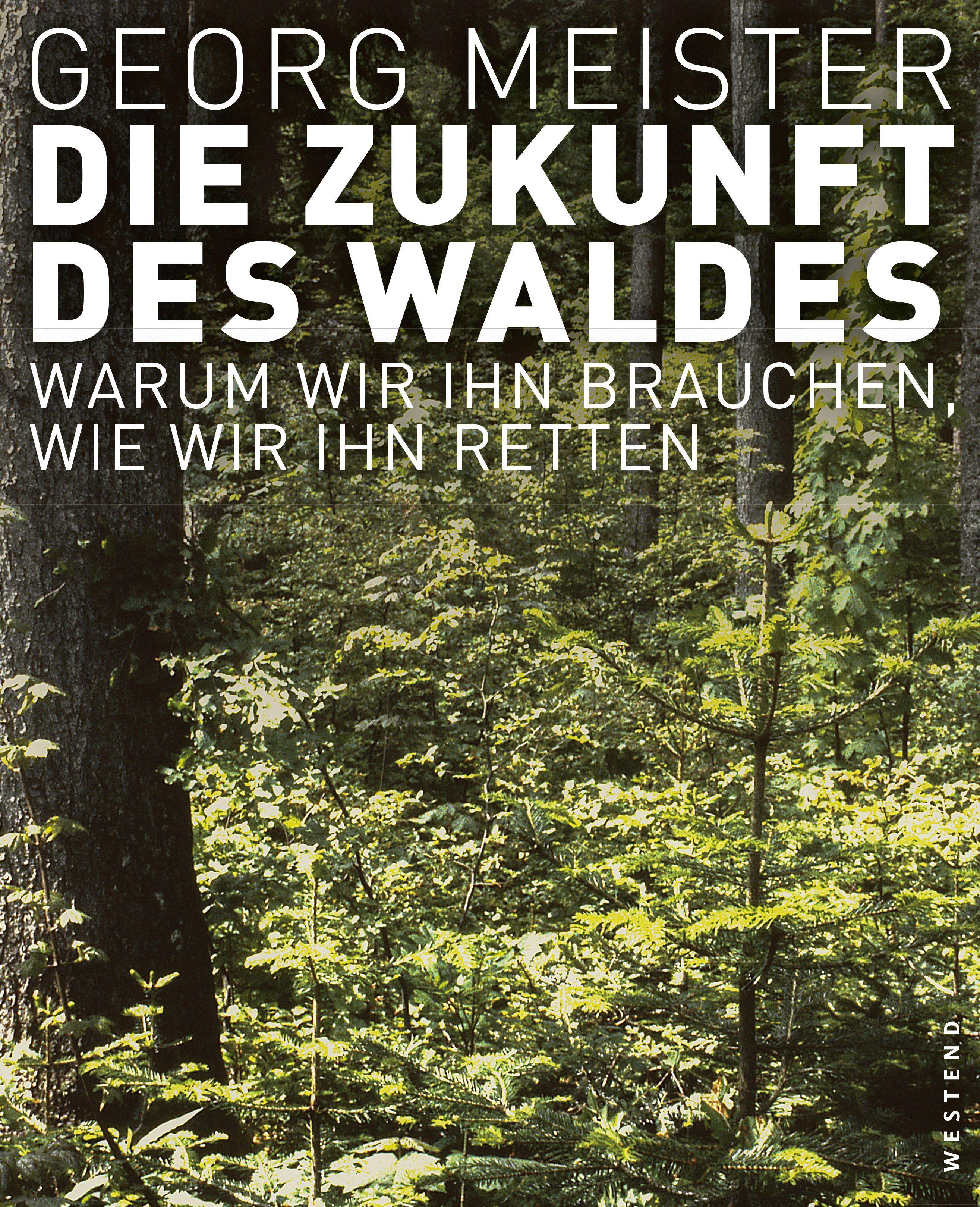 Die Zukunft des Waldes