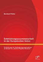 Entwicklungszusammenarbeit in der Europäischen Union: EU-Förderungen für Nichtregierungsorganisationen am Beispiel von ¿Nuestros Pequeños Hermanos¿