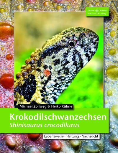 Krokodilschwanzechse