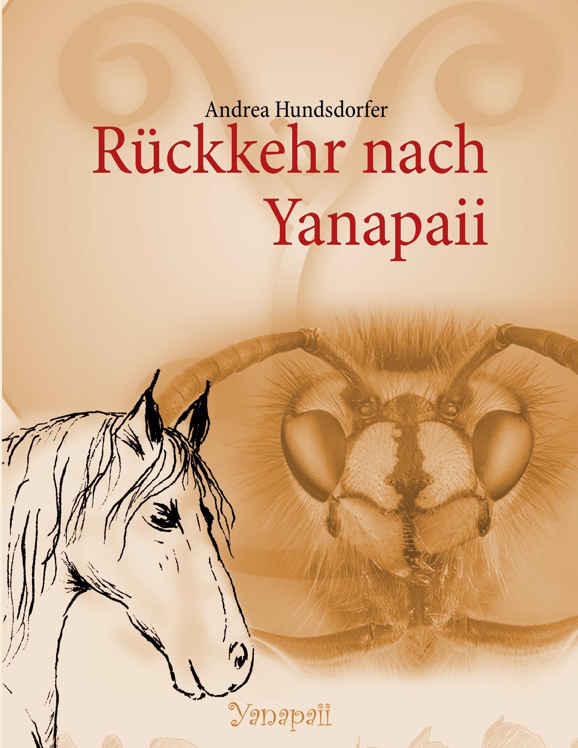 Rückkehr nach Yanapaii