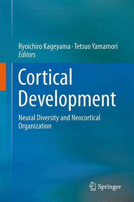 Cortical Development