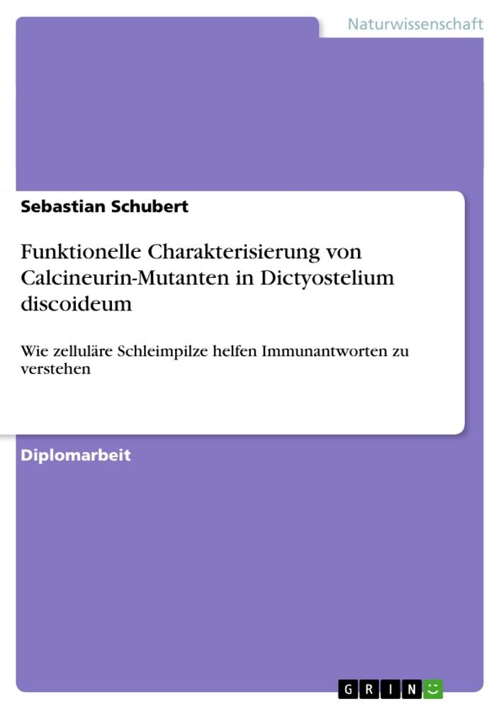 Funktionelle Charakterisierung von Calcineurin-Mutanten in Dictyostelium discoideum