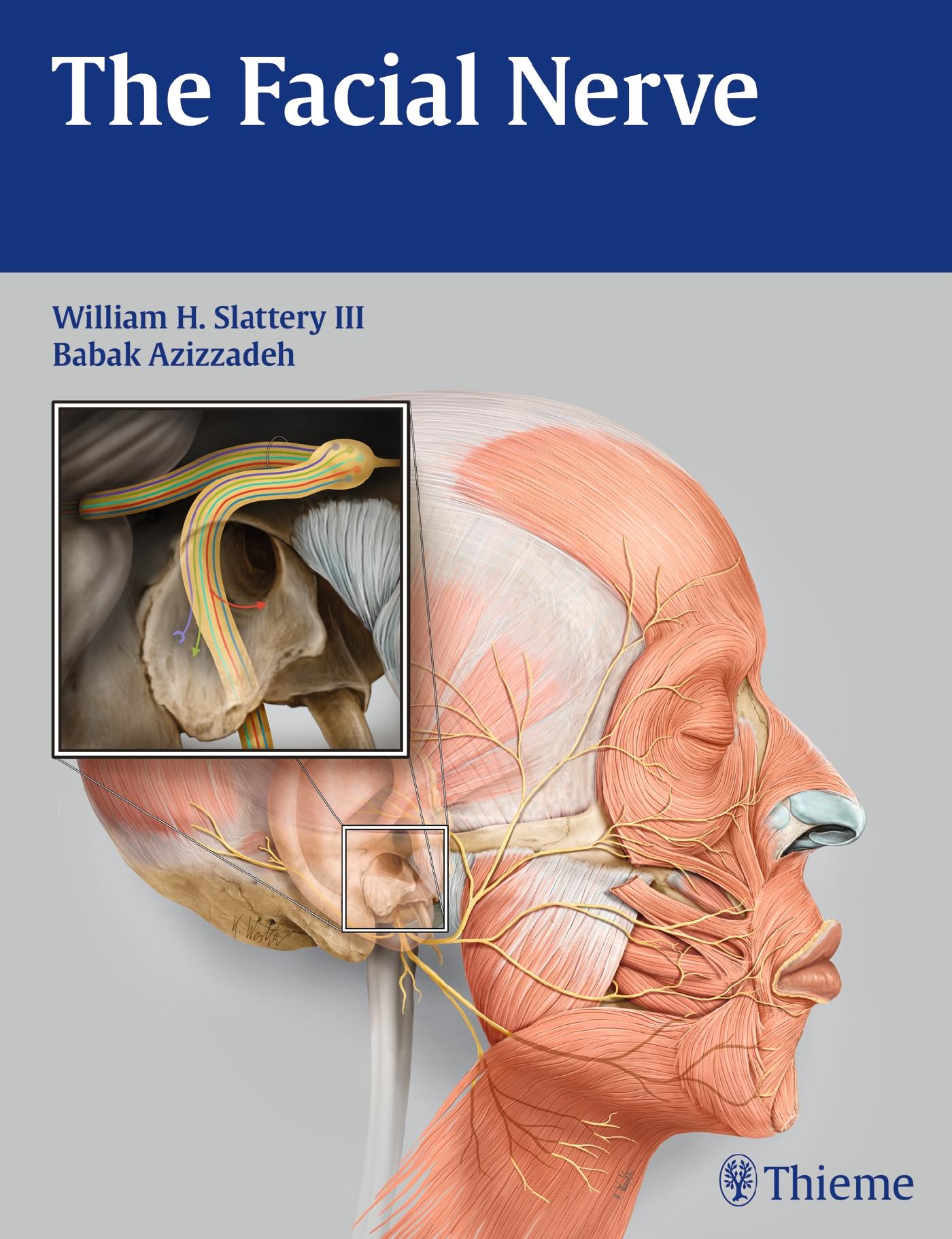 The Facial Nerve