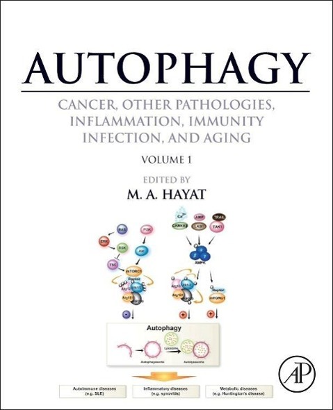 Autophagy: Cancer, Other Pathologies, Inflammation, Immunity, Infection, and Aging