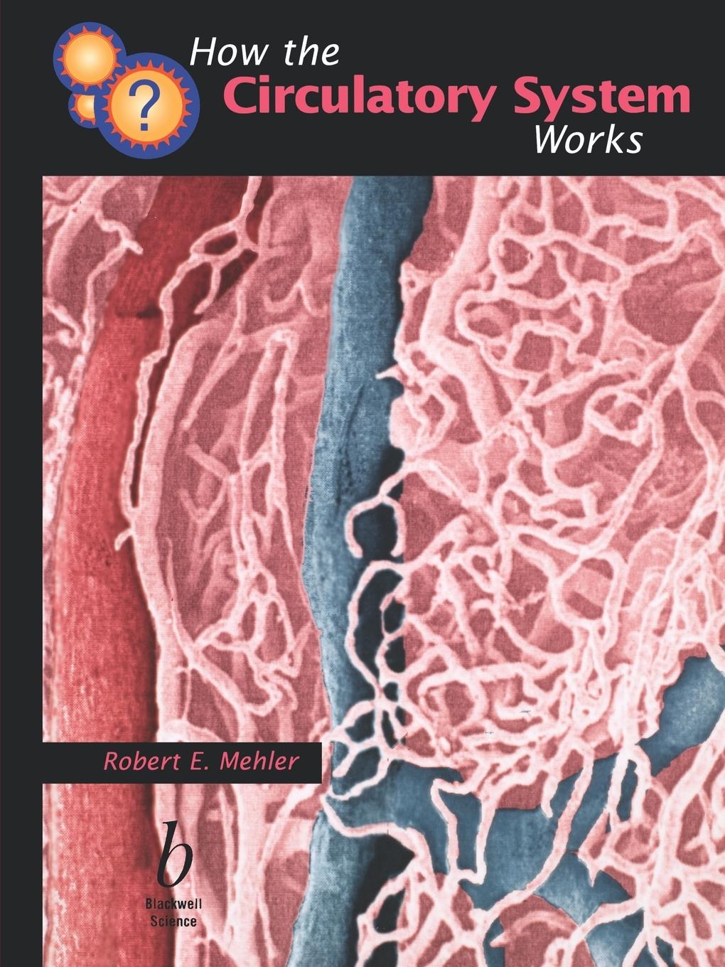 How the Circulatory System Works