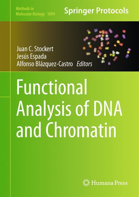 Functional Analysis of DNA and Chromatin