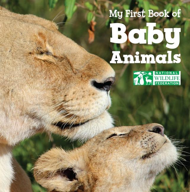 My First Book of Baby Animals