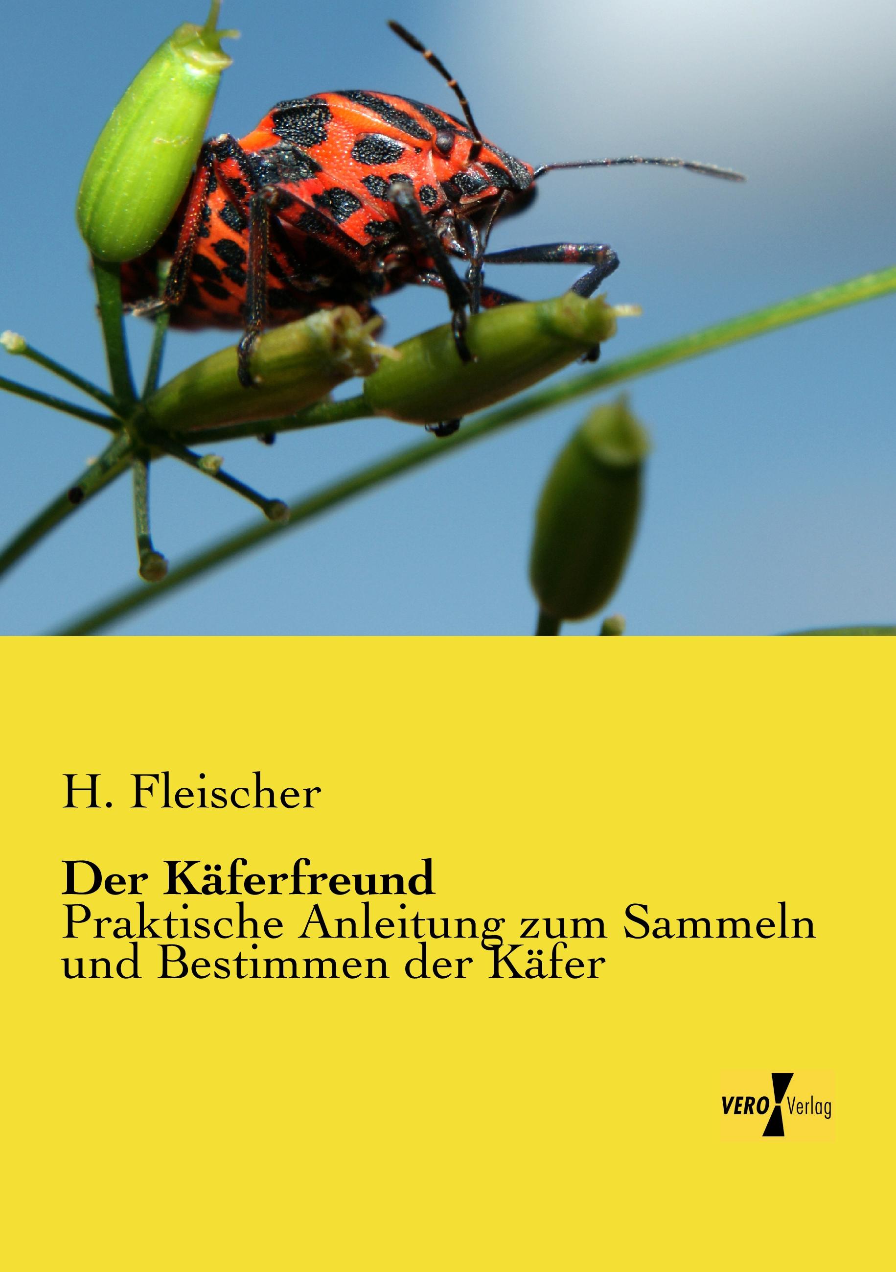 Der Käferfreund